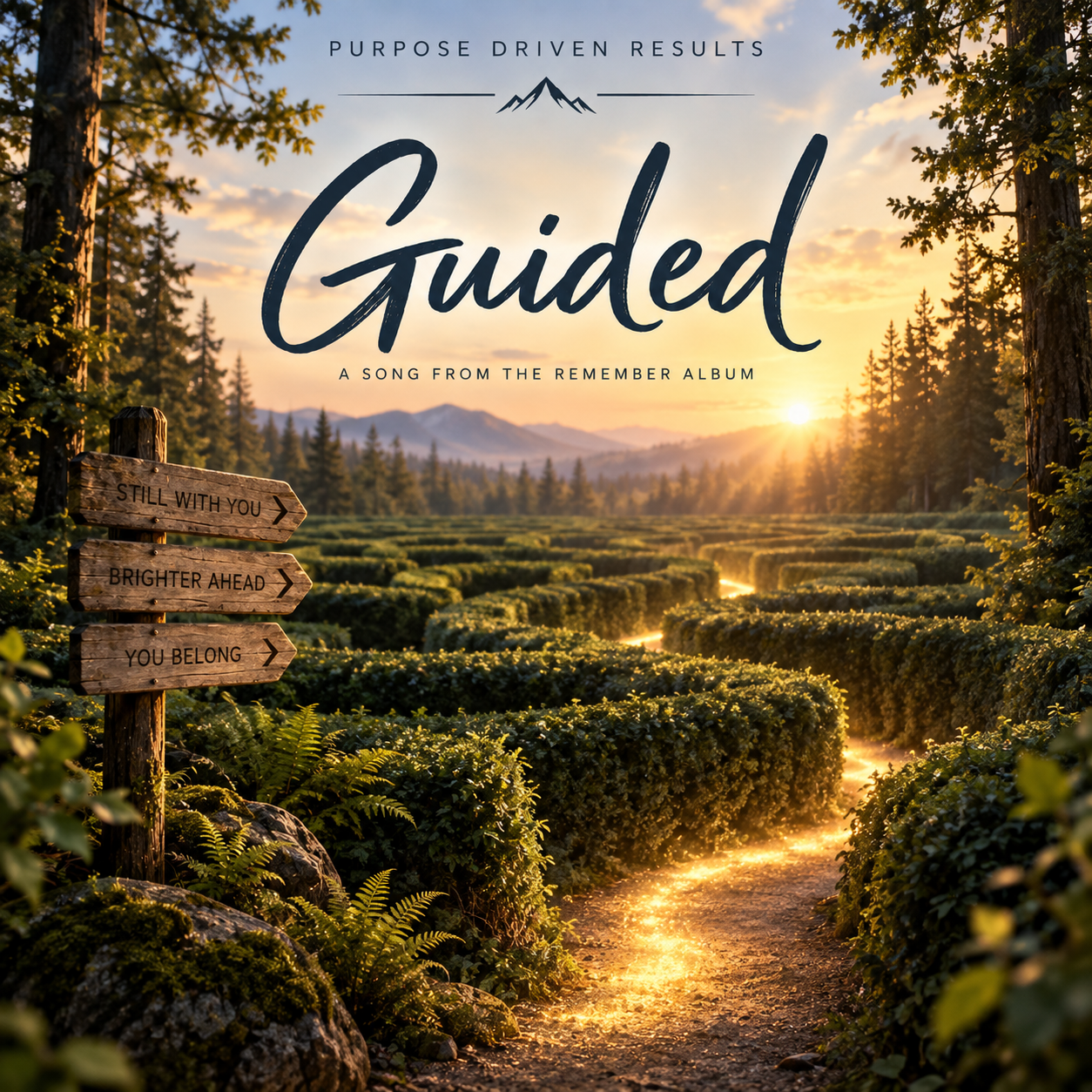Guided cover artwork: a sunlit path through the forest